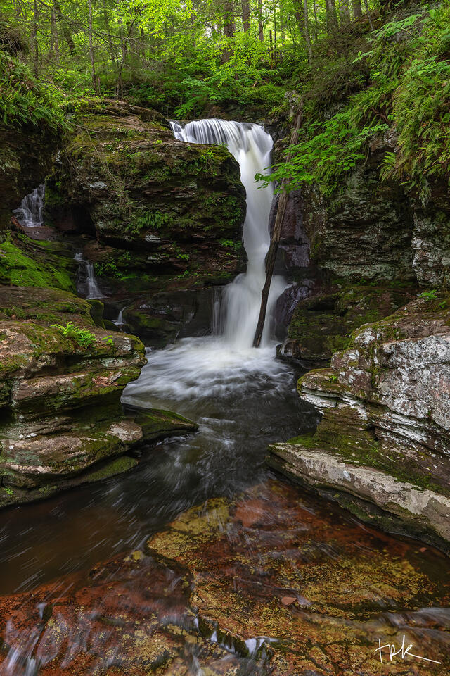 Limited edition print of Adams Falls at Pennsylvania’s Ricketts Glen State Park in spring.