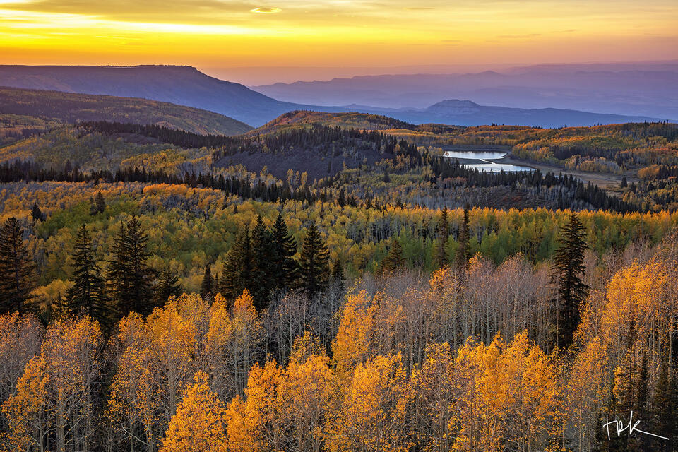 Limited edition print of yellow aspens on the side of Colorado’s Grand Mesa under a yellow sunset.