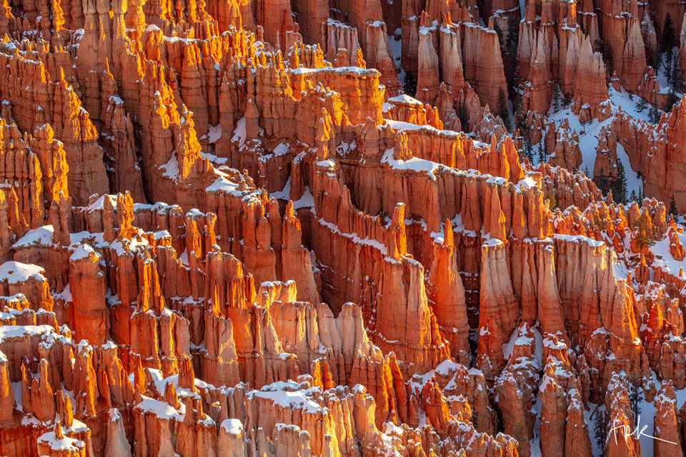 Limited edition print of Bryce Canyon hoodoos at sunrise.