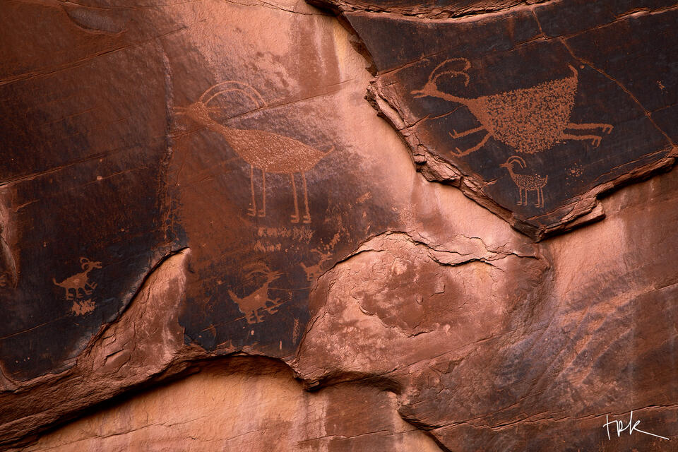 Ancient Etchings print