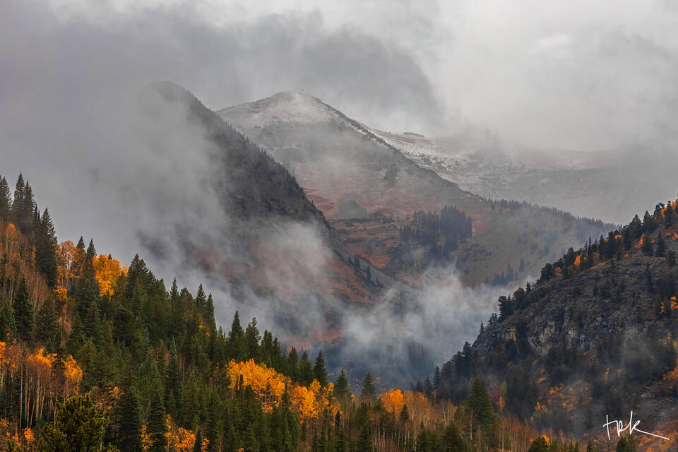 Limited edition print of Colorado mountains shrouded in low clouds with yellow aspens and pines in the foreground.