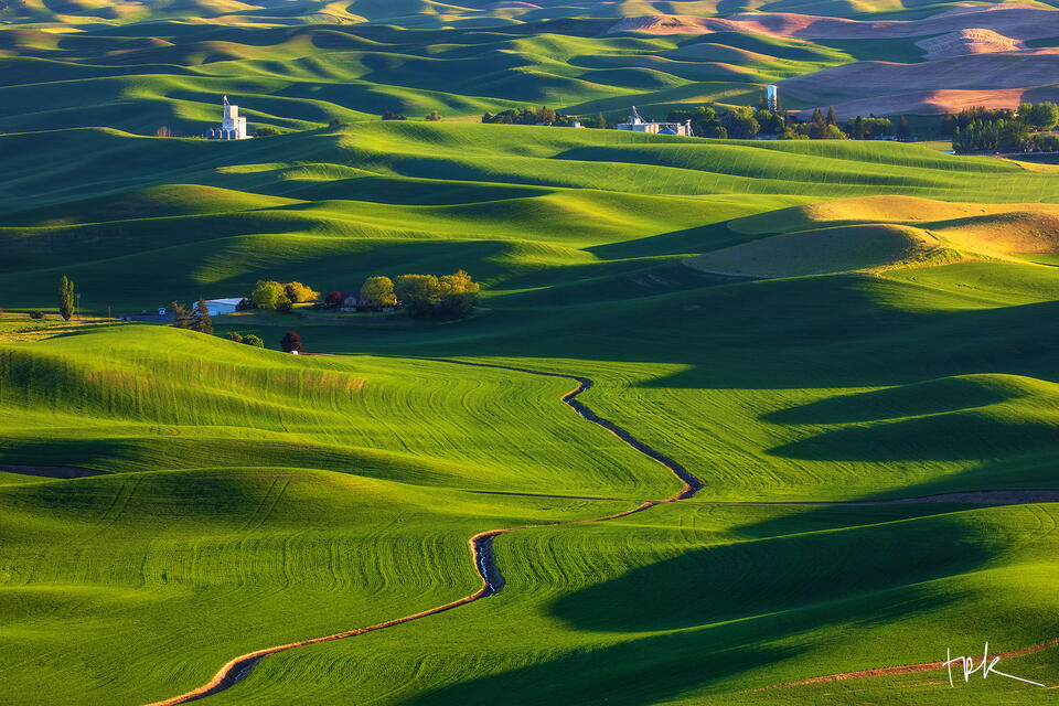 Limited edition print of rolling green hills of farmland in the Palouse Region of Washington.