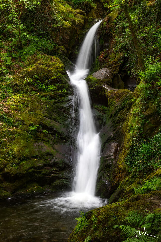 Limited edition print of the Rhaeadr Dolgoch waterfall among green ferns and foliage in Wales 