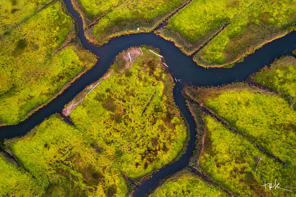 Limited edition print of an aerial view of water channels at the Connecticut River estuary.
