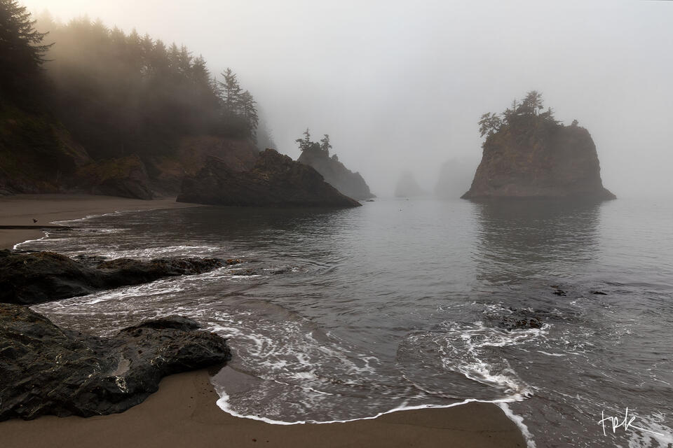 Limited edition print of tree-covered sea stacks on the Oregon coast in the fog with sunlight shining in from the left.
