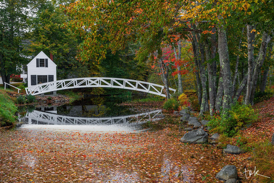 Limited edition print of a pond covered with fallen leaves and a white footbridge over the pond leading to a small white house at the left.