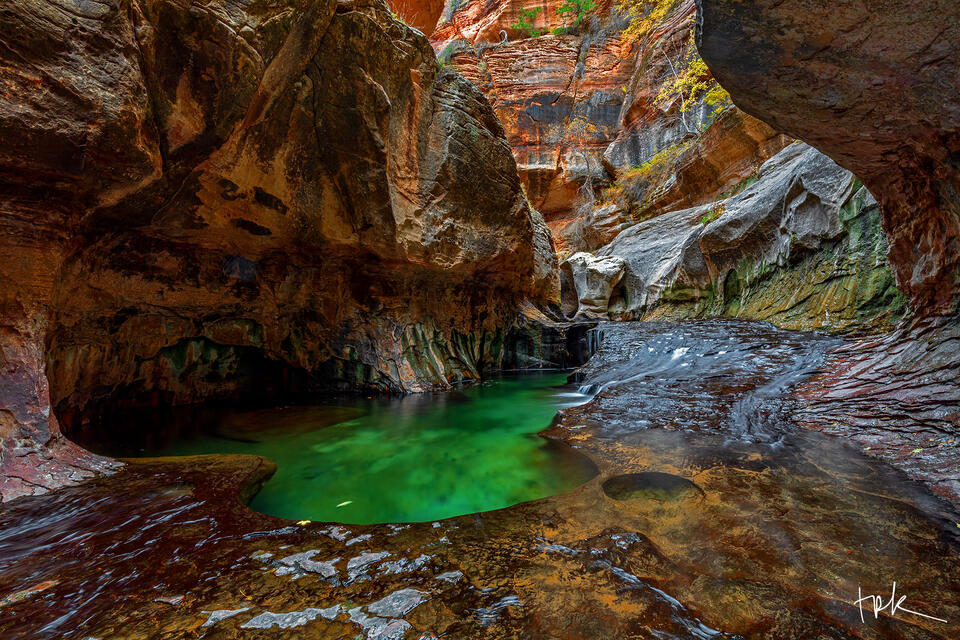 Limited edition print of an emerald pool at The Subway at Zion National Park.