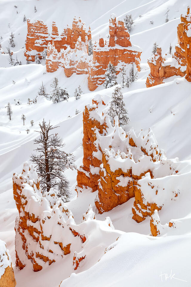 Limited edition print of sunlit orange hoodoos and fresh snow in Utah’s Bryce Canyon National Park.