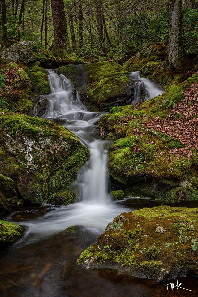 Limited edition print of a Connecticut off-trail waterfall with three small drops among moss-covered rocks.