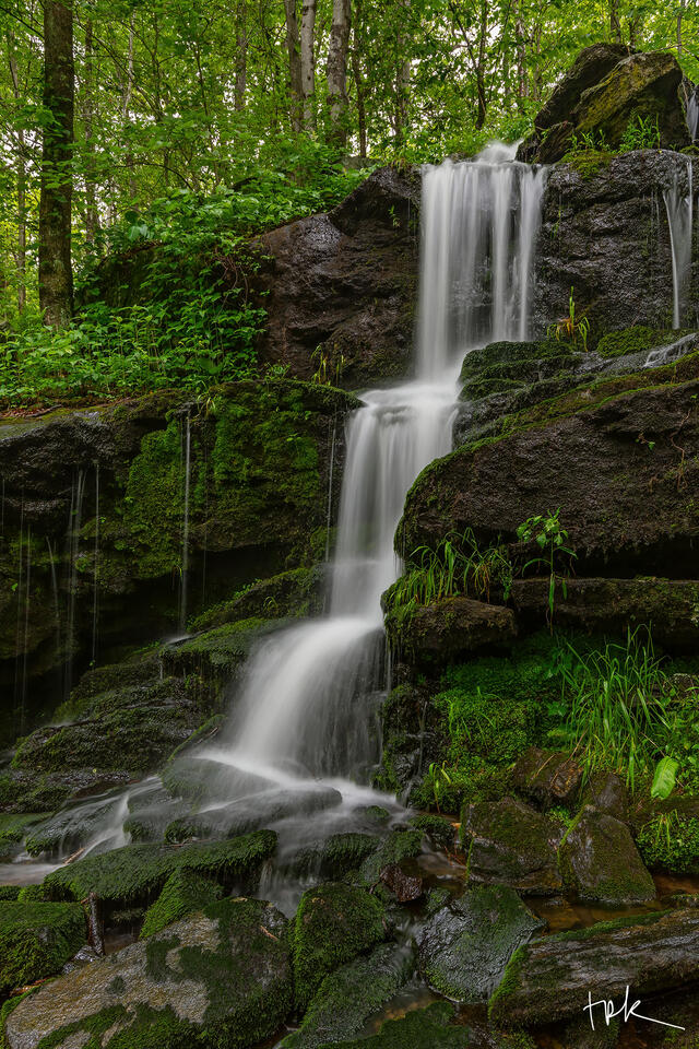 Limited edition print of a three-tiered Connecticut waterfall surrounded by green trees and ground foliage.