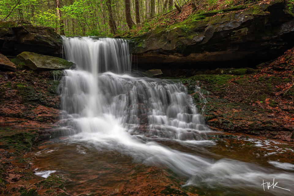 Limited edition print of a woodland Pennsylvania waterfall in spring.