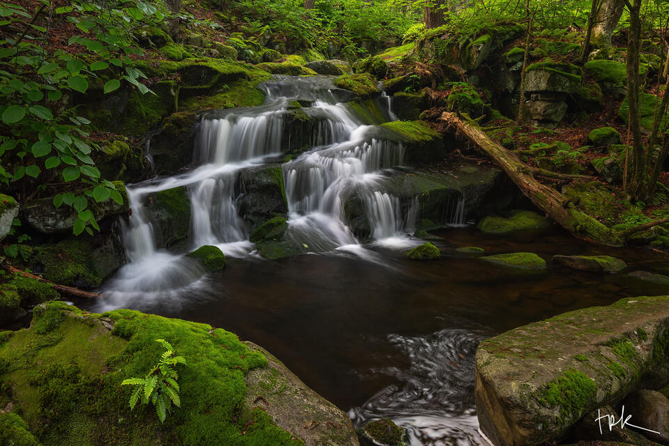 Limited edition print of a small stair step-type waterfall in the Connecticut woodland surrounded by moss-covered rocks.