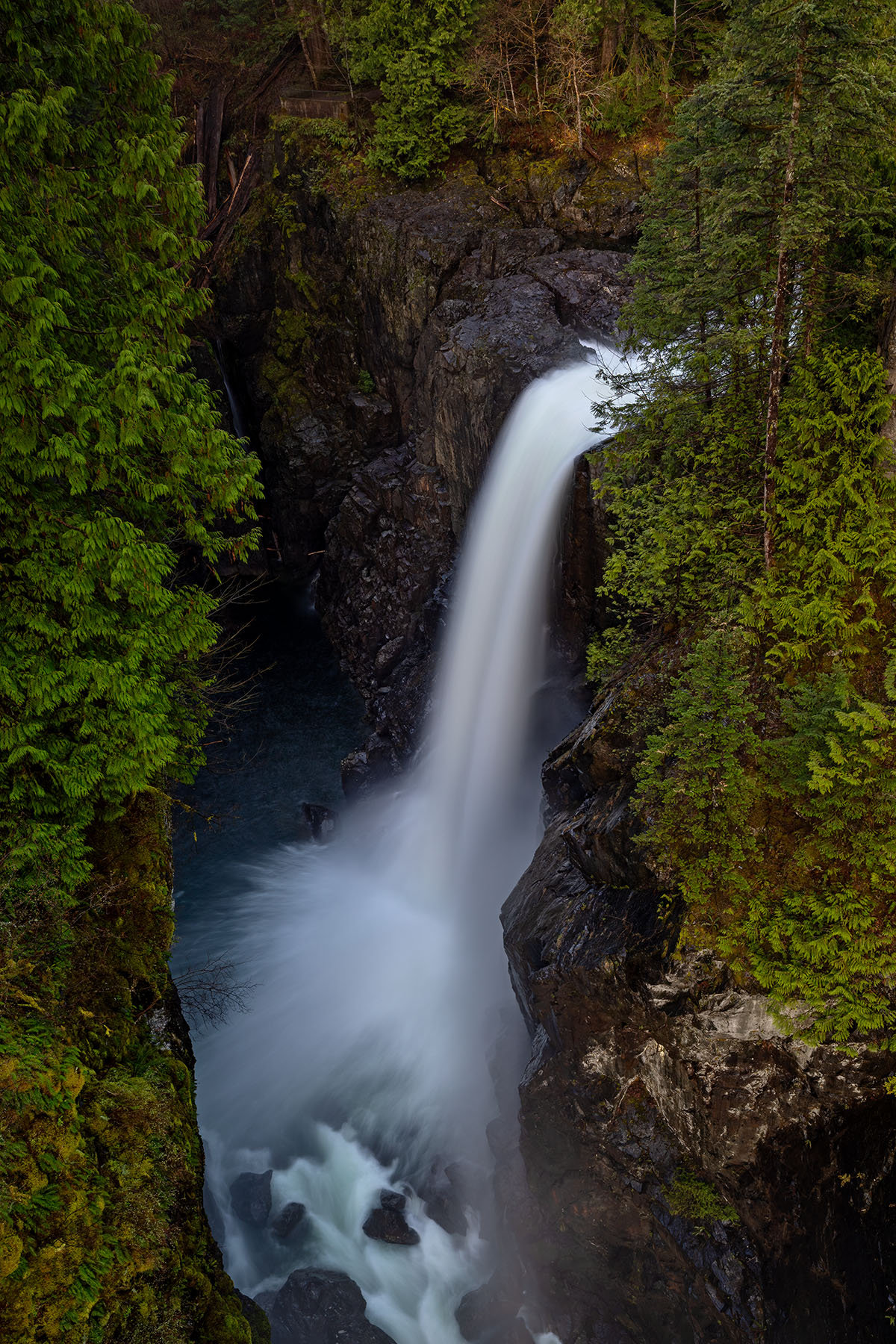 Vancouver Island’s Elk Falls pouring down into a deep and narrow gorge lined with fall conifers.