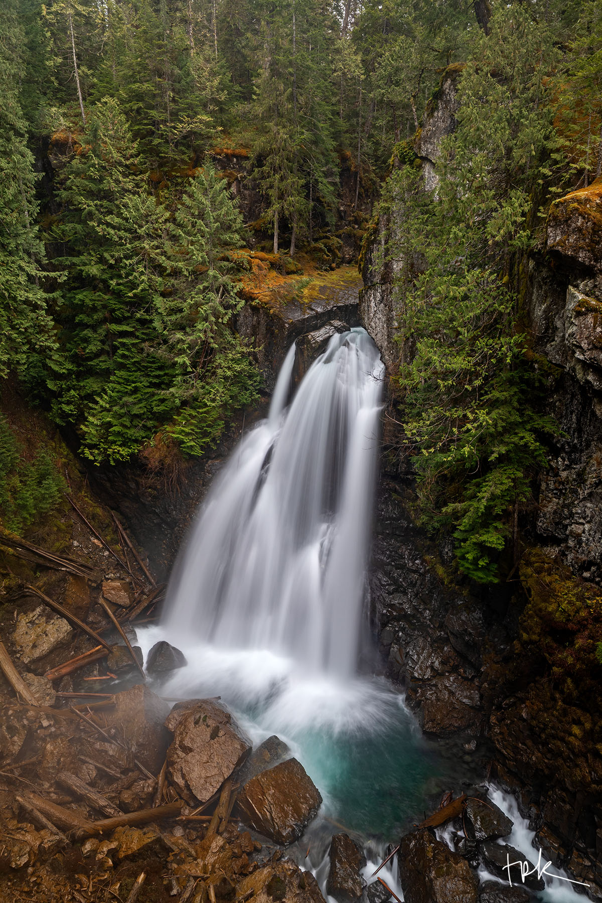 Among Giants Limited edition print of Vancouver Island’s Lady Falls surrounded by a dense forest of conifers.