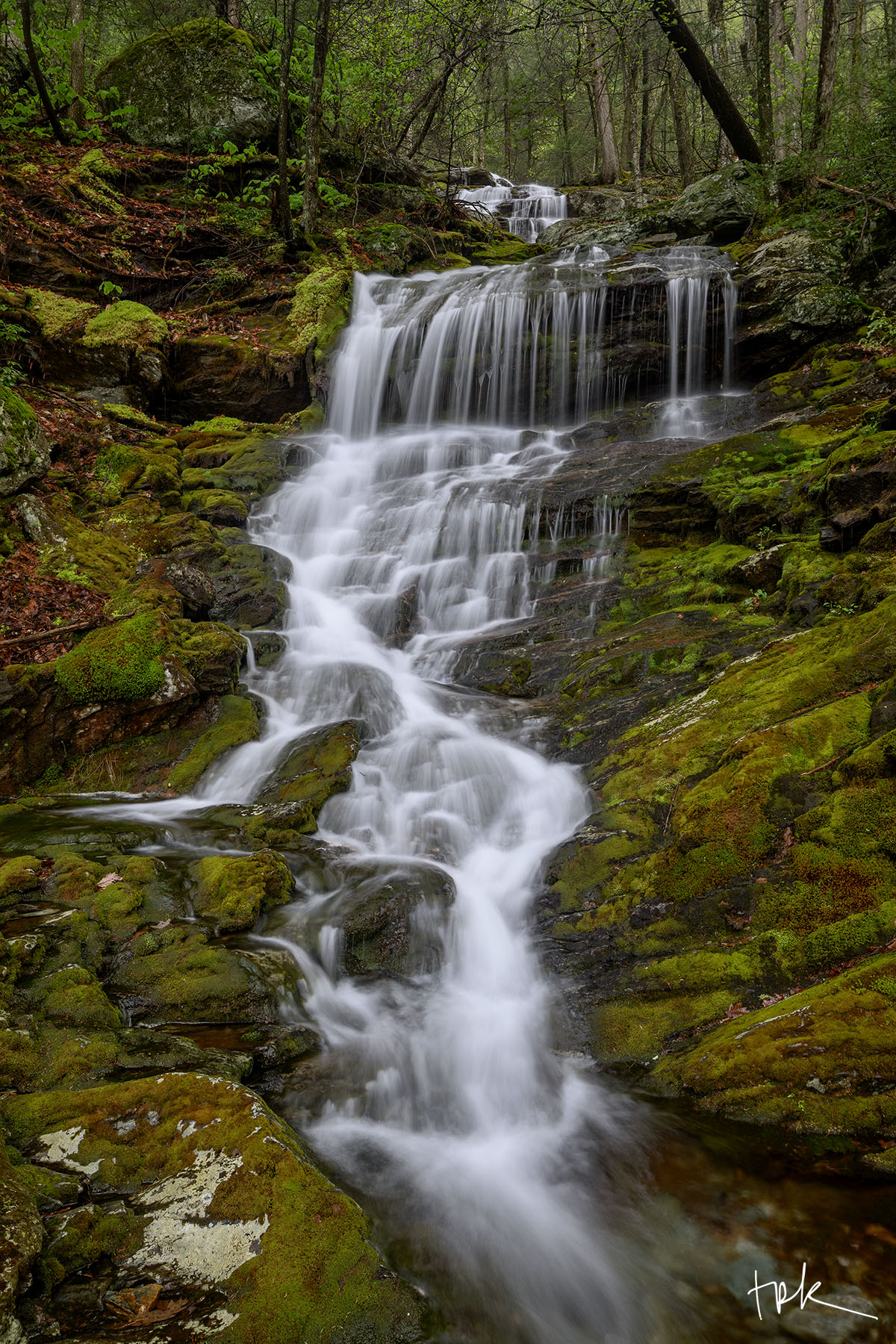 Forest Tapestry Limited edition print of the third falls on Massachusetts’s Race Brook surrounded by saturated green moss after a spring rain.