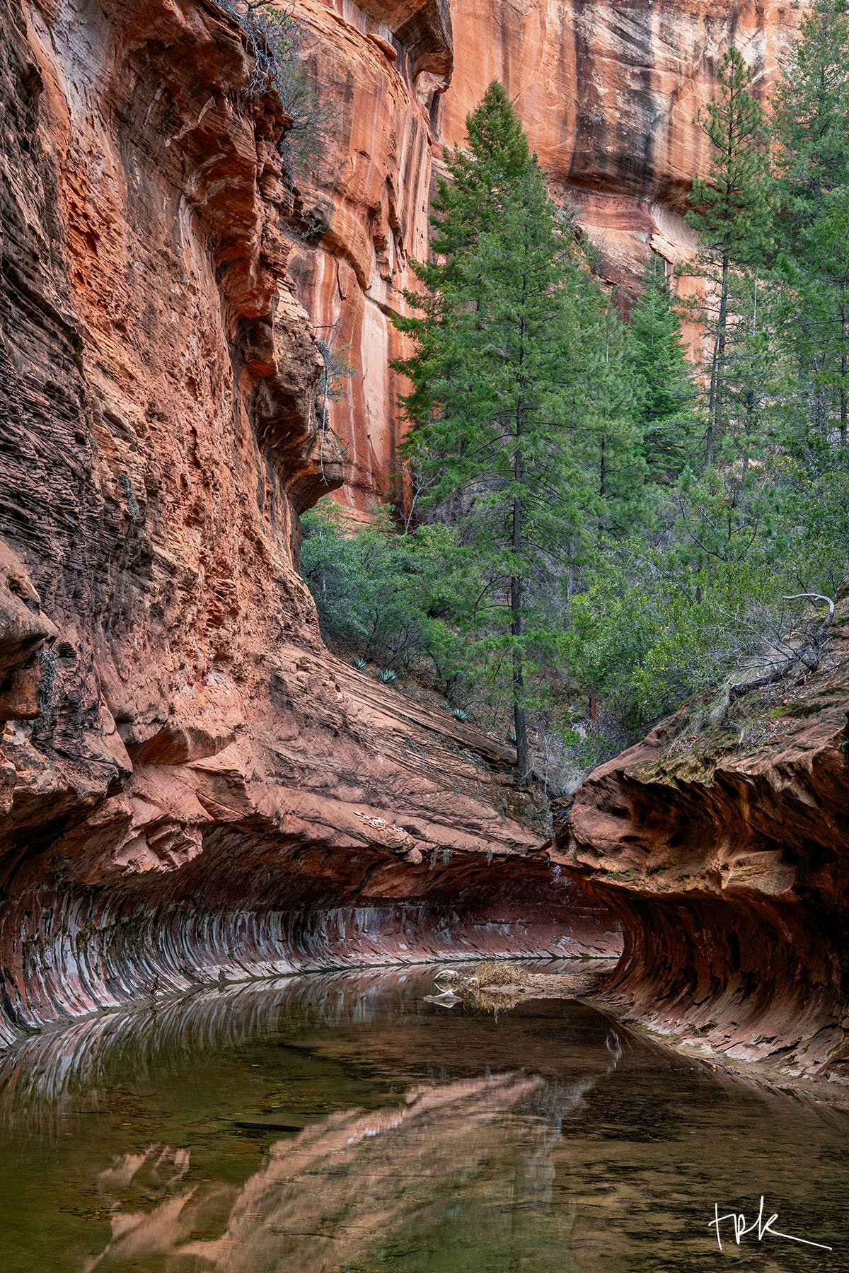 Deep Cut Limited edition print of the West Fork Oak Creek subway near Sedona, Arizona.